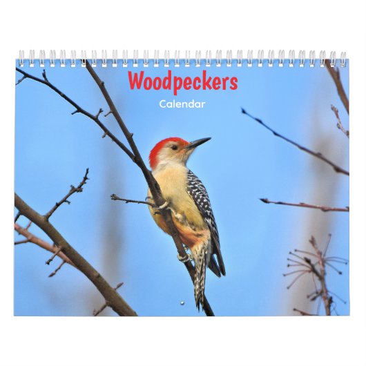 Woodpeckers Calendar Kalender (Hoes)
