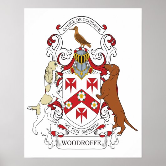 Woodroffe Custom 2 Poster (Voorkant)