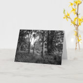 Woods Bute Park, carte de voeux Cardiff (Fleur jaune)