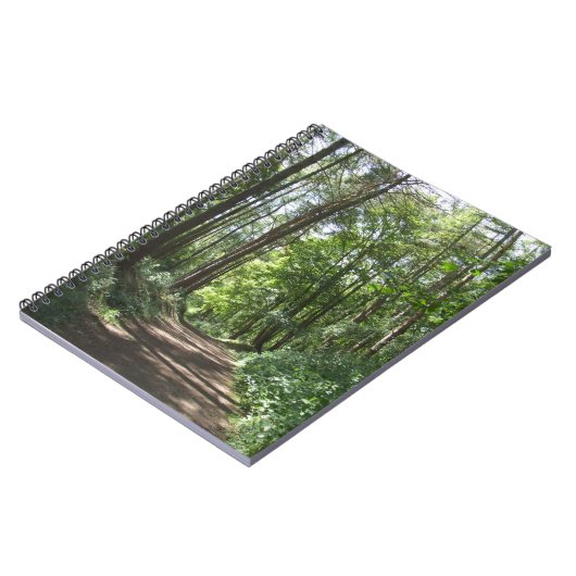 Woods Journal (Côté gauche)