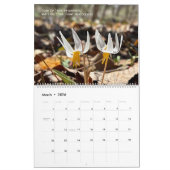 Woods Walking 2026 Calendar Kalender (Mar 2026)