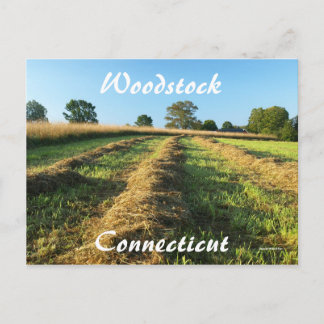Woodstock Briefkaart