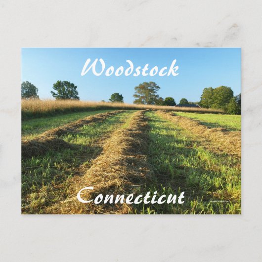Woodstock Briefkaart (Voorkant)