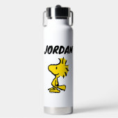 Woodstock Classic Design Pattern | Jouw namen toev Waterfles (Voorkant)