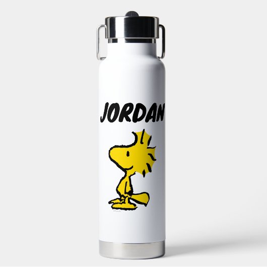 Woodstock Classic Design Pattern | Jouw namen toev Waterfles (Voorkant)