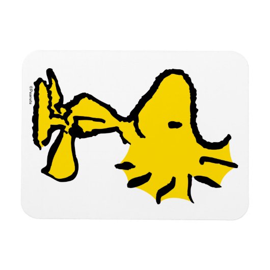 Woodstock Classic Design Pattern Magneet (Horizontaal)