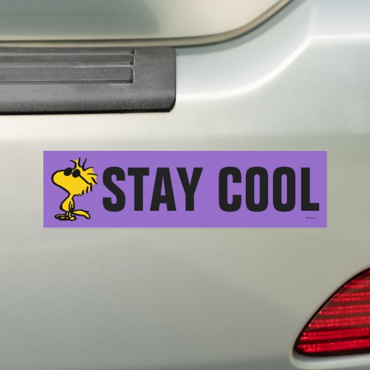 Woodstock Cool Sunbril Bumpersticker (Op auto)