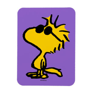 Woodstock Cool Sunbril Pattern Magneet