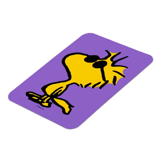 Woodstock Cool Sunbril Pattern Magneet (Linkerzijde)