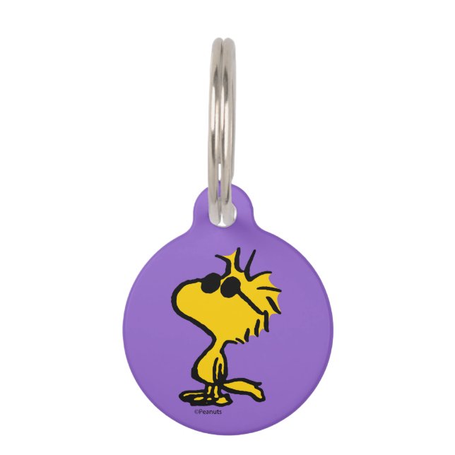 Woodstock Cool Sunglasses Pattern Huisdierpenning (Voorkant)