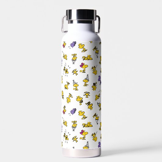 Woodstock Fun Pattern Waterfles (Voorkant)