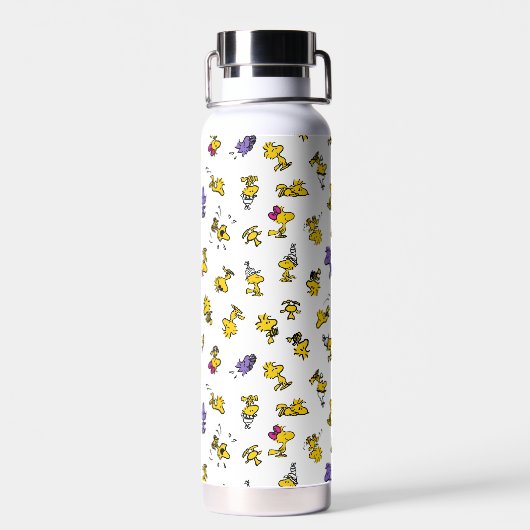 Woodstock Fun Pattern Waterfles (Achterkant)