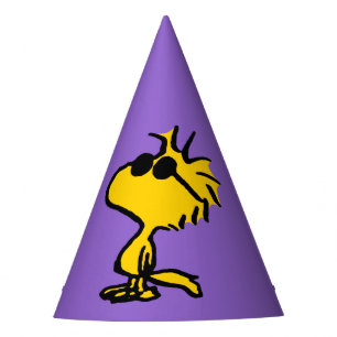 Woodstock in zonnebril feesthoedjes