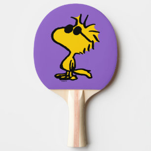 Woodstock in zonnebril tafeltennisbatje