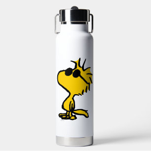 Woodstock in zonnebril waterfles