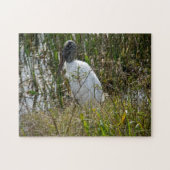 Woodstork Bird Florida Foto Legpuzzel (Horizontaal)