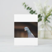 Woody-houtduif Briefkaart (Staand voorkant)