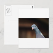 Woody-houtduif Briefkaart (Voorkant / Achterkant)