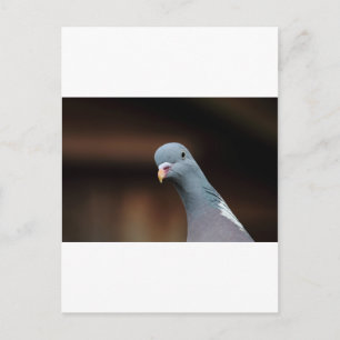 Woody-houtduif Briefkaart