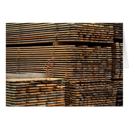 Woody terug naar de wortels (Voorkant Horizontaal)