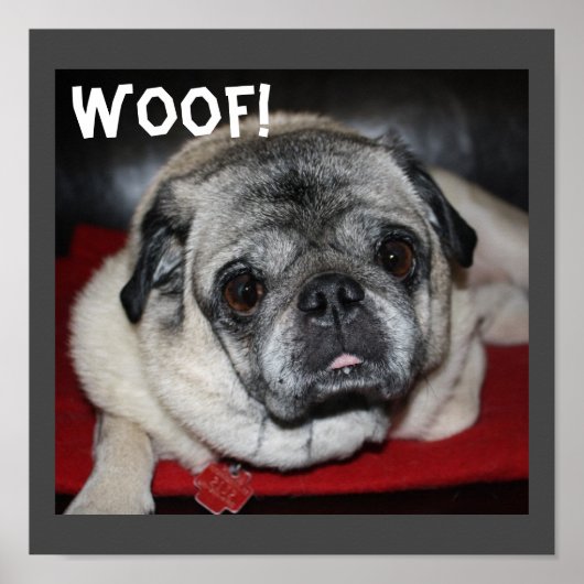 Woof, affiche Carlin (Devant)