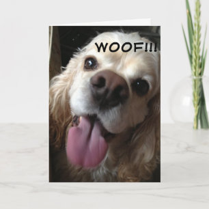 WOOF *GELUKKIGE VERJAARDAG* IN DOGGY TAAL KAART