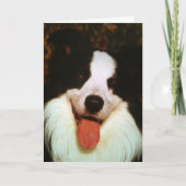 WOOF WOOF HAPPY BIRTHDAY HONEY KAART (Voorkant)