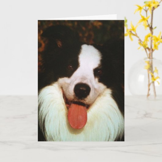 WOOF WOOF HAPPY BIRTHDAY HONEY KAART (Gele Bloem)