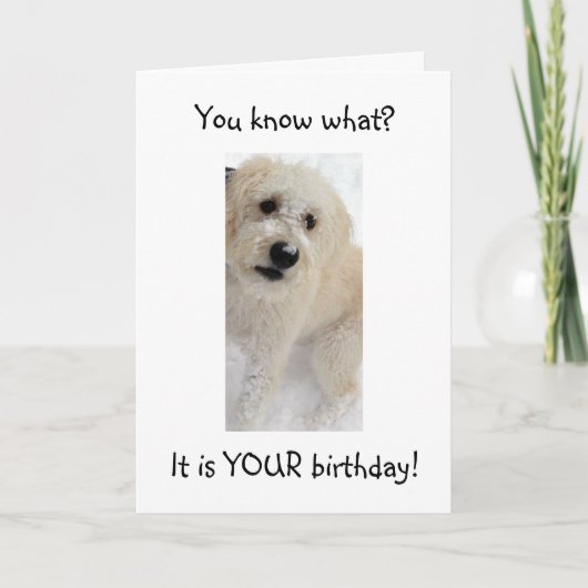 WOOF WOOF-JE ZIET ER GOED UIT VOOR 40 KAART (Voorkant)