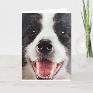 WOOF WOOF OF MET ANDERE WOORDEN ** GELUKKIGE VERJA KAART