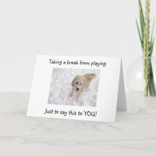 WOOF WOOF WOOF "50" ZIET GOED OP DE BIRTHDAY-KAART KAART