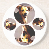 Woofs N' Wags Zandsteen Onderzetter (Voorkant)