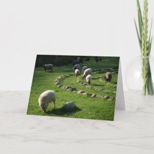 Woolly Labyrinth: Schapen grazen in een pastorale  Kaart