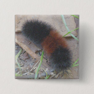 Wooly Beer, Button van de derde pijler