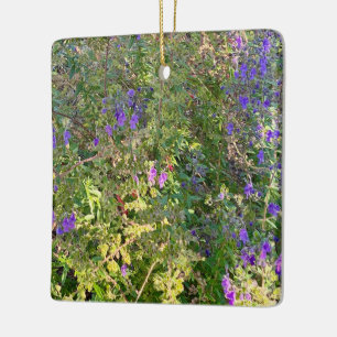 Wooly Bluecurls Keramisch Ornament