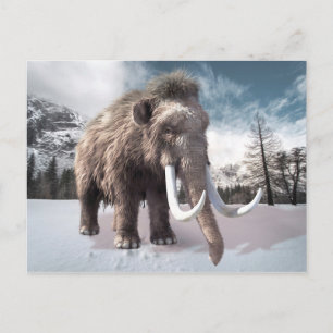 Wooly Mammoth Briefkaart