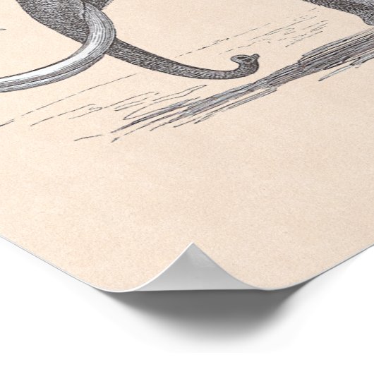 Wooly Mammoth Extinct Mastodon Funny  Poster (Hoek)