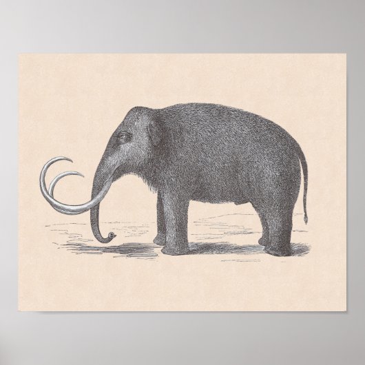 Wooly Mammoth Extinct Mastodon Funny  Poster (Voorkant)