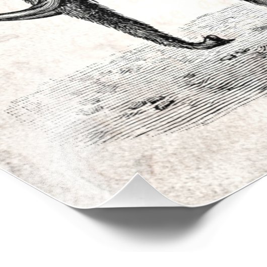  Wooly Mammoth Illustratie Wooly Mammoths Foto Afdruk (Hoek)