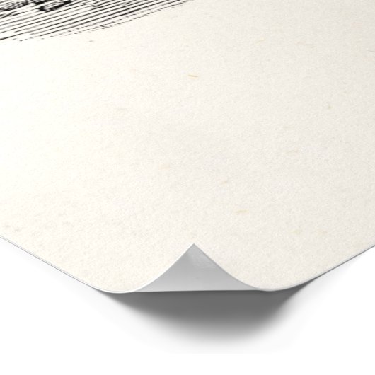 Wooly Mammoth Illustratie Wooly Mammoths Poster (Hoek)