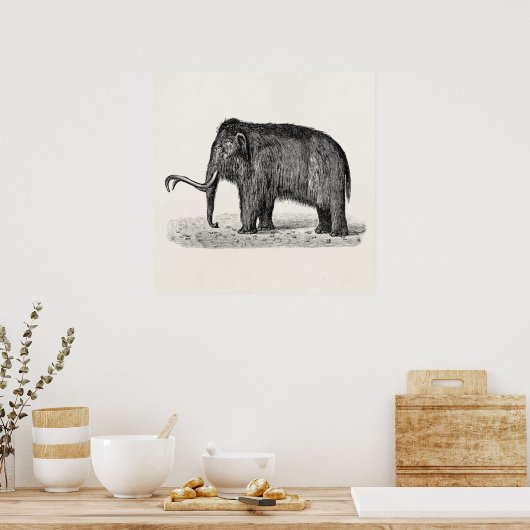  Wooly Mammoth Illustratie Wooly Mammoths Poster (Keuken)