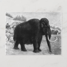 Wooly Mammoth Mod Destiny Briefkaart