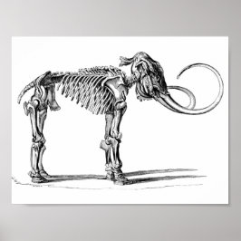 Wooly Mammoth Poster