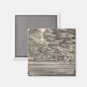 Woonplaats van Dr. Robert Laird, Squan, NJ Magneet (Voorkant / Achterkant)