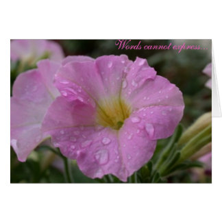 Woorden kunnen niet...