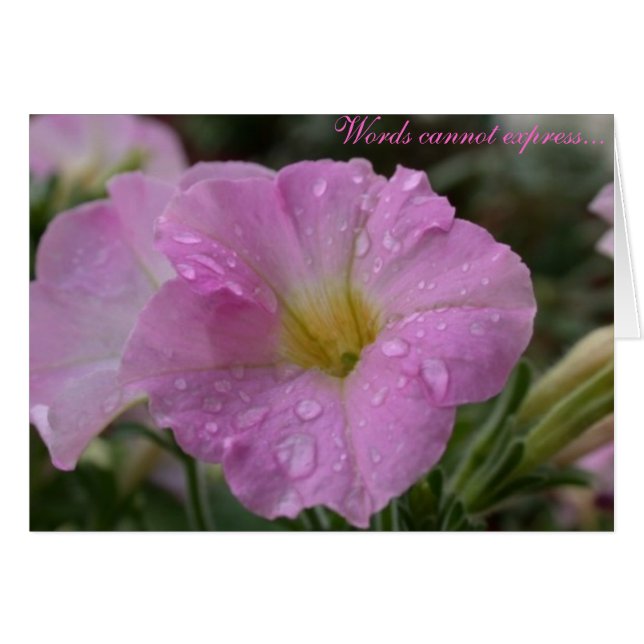 Woorden kunnen niet... (Voorkant Horizontaal)