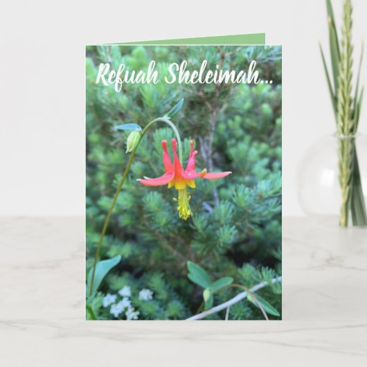 Woordenaar, Refuah Sheleimah Kaart (Voorkant)