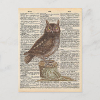 woordenboek Art Brown Owl Bird Briefkaart