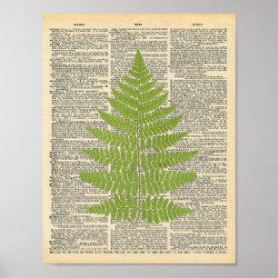 woordenboek Art Green Fern Frond Print
