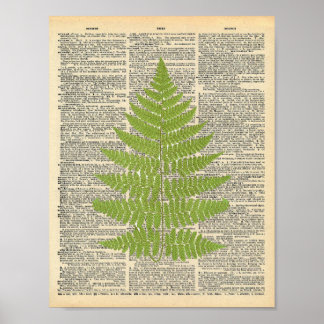 woordenboek Art Green Fern Frond Print